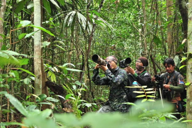 Dukungan Indonesia Terhadap Tutupan Hutan Sebanyak 30%